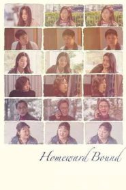 Homeward Bound (2025)