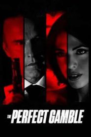 The Perfect Gamble (2025)