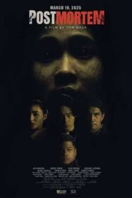 Postmortem (2025)