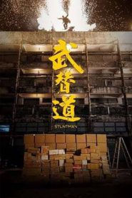 Stuntman (2024)