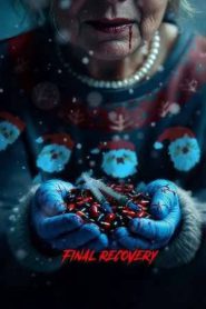 Final Recovery (2024)