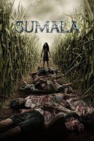 Sumala (2025)