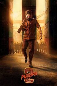 Pushpa 2 – The Rule (2024)