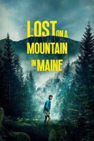 Lost on a Mountain in Maine (2024)