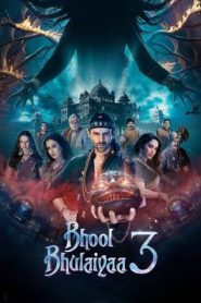 Bhool Bhulaiyaa 3 (2024)