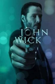 John Wick (2014)