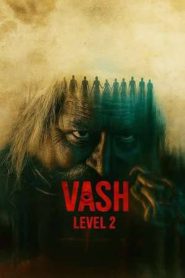 Vash Level 2 (2025)