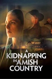 A Kidnapping in Amish Country (2024)