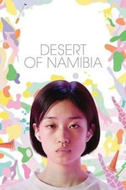 Desert of Namibia (2024)