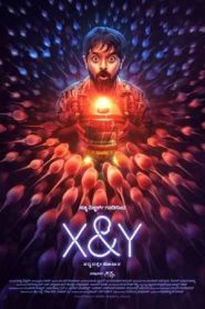 X & Y (2025)