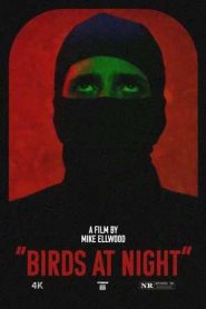 Birds at Night (2024)