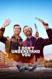 I Don’t Understand You (2025)