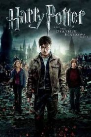 Harry Potter and the Deathly Hallows: Part 2 (2011)