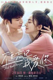 Don’t Forget I Love You (2022)