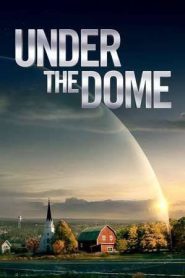 Under the Dome (2013)