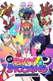 New PANTY & STOCKING with GARTERBELT (2025)