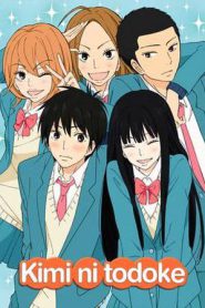 From Me to You: Kimi ni Todoke (2024)