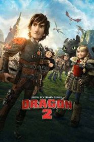 How to Train Your Dragon 2 (2014)