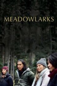 Meadowlarks (2025)